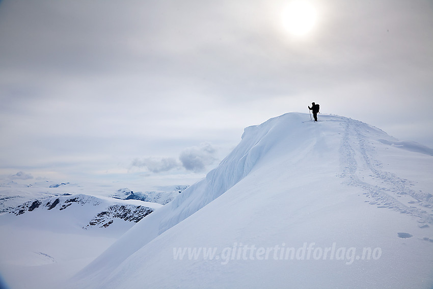 På ryggen rett nordvest for Snønipa med Kvannefjellet Nord (1712 moh) i bakgrunnen.