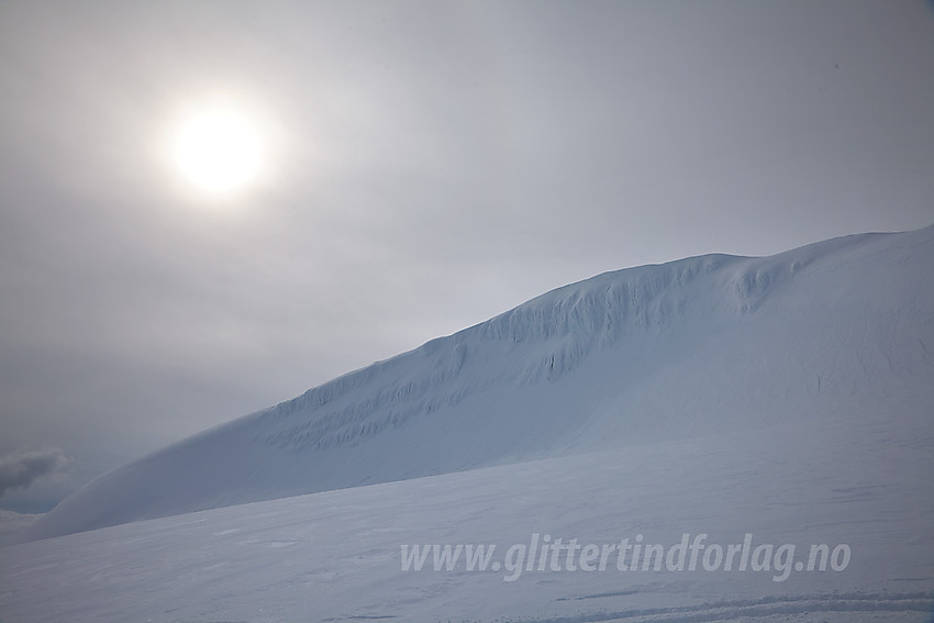 Snønipa sett fra nord.