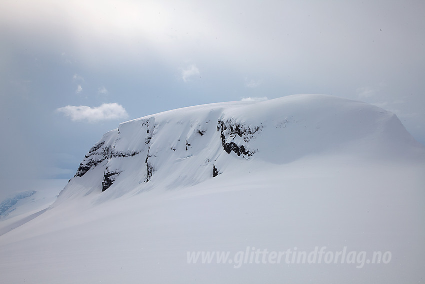 Kvannefjellet Nord (1712 moh) fra nord.