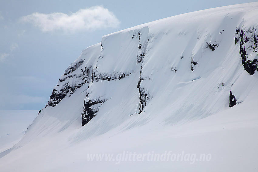 Detaljer nord på Kvannefjellet Nord.