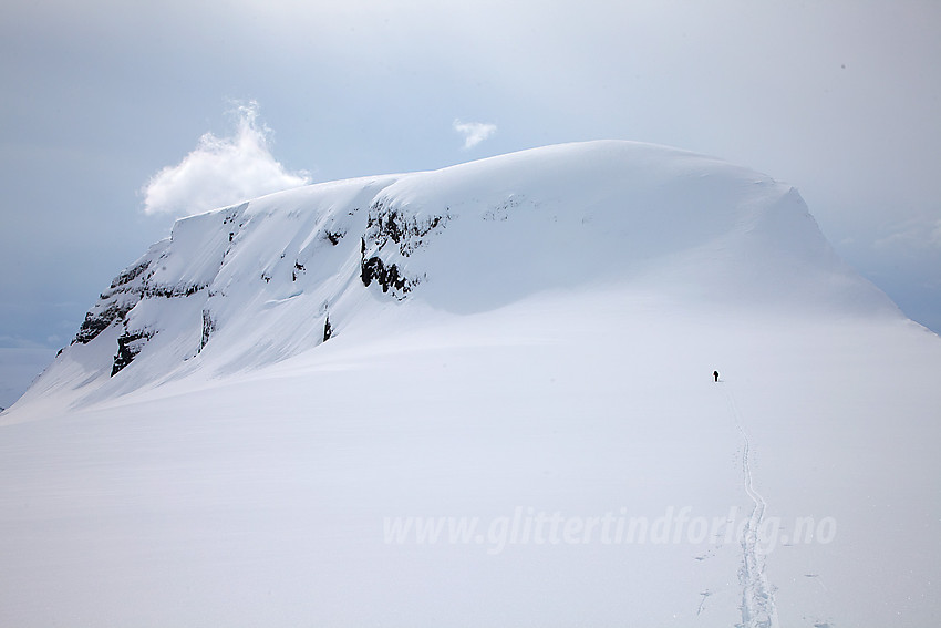 Kvannefjellet Nord (1712 moh) fra nord.