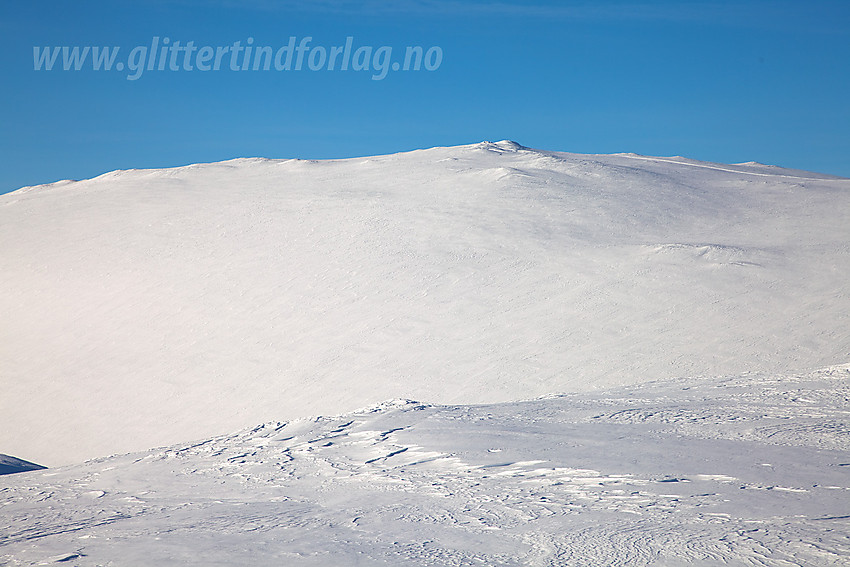 Bleia (1717 moh) sett fra nord.