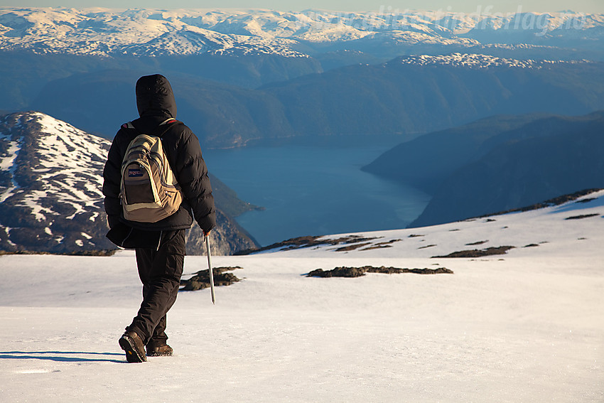 På vei nordøstover på Stiganosfjellet. Aurlandsfjorden i bakgrunnen.