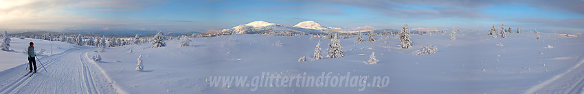 Panorama oppe ved Skardåsen mot Skarvemellen og Rundemellen.