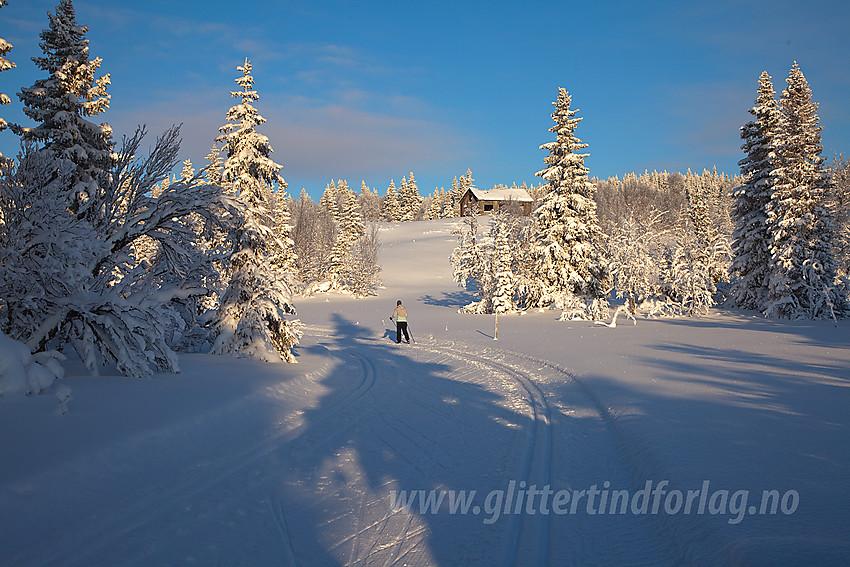 Flott vinterstemning i Skardåsenløypa.