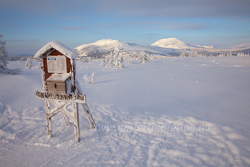 På toppen av Skardåsen (1071 moh) mot Skarvemellen og Rundemellen.