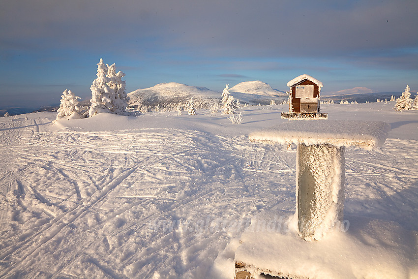 På toppen av Skardåsen (1071 moh) mot Skarvemellen og Rundemellen.