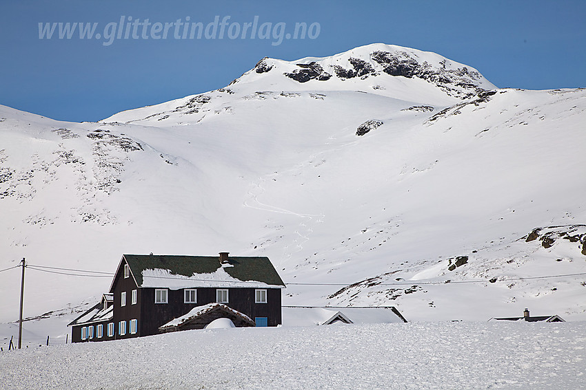 Ved Fagerstrand med Hålisstølen i forgrunnen og Mefjellet (1386 moh) i bakgrunnen.