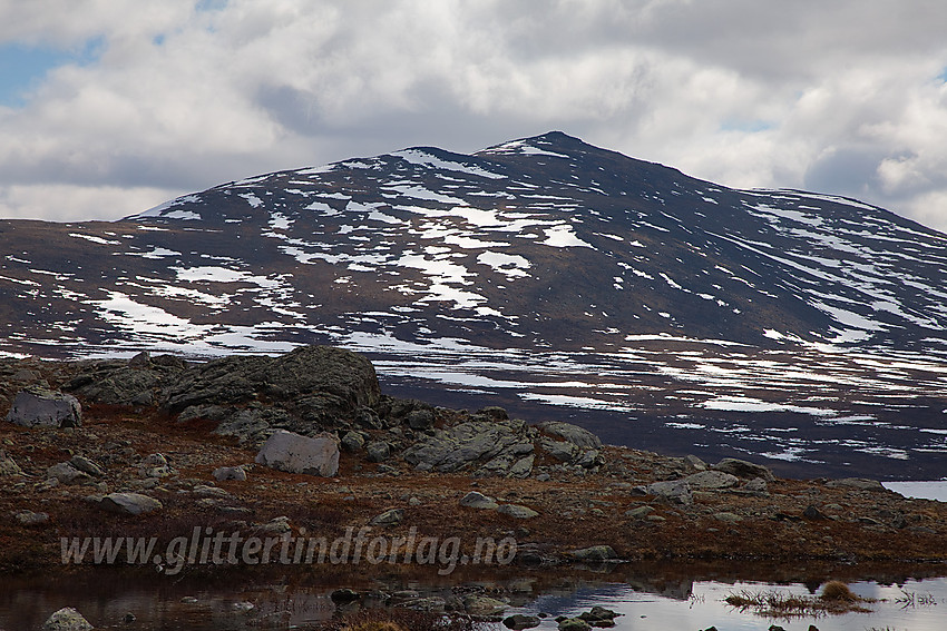 Utsikt fra Stuttgongkampen mot Dyrtjønnhøe (1687 moh).