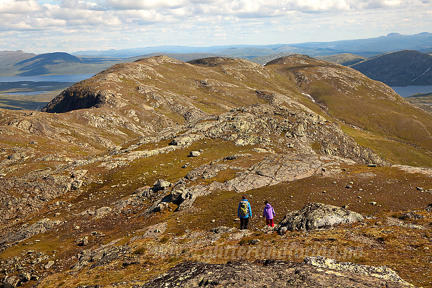 På retur fra Heimre Fagerdalshøe med ryggen mot Synshorn i bakgrunnen. I det fjerne skimtes Vinstervatn og Skaget.