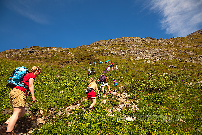 Barnas Turlag Valdres på vei opp den øvre delen av Bukkelægret.