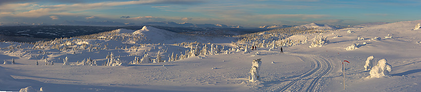 I skiløypa fra Aurdal fjellpark mot Bjørgovarden.