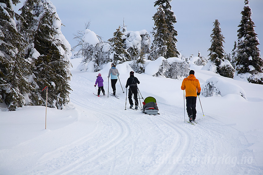 I skiløype fra Aurdal fjellpark mot bl.a. Bjørgovarden.