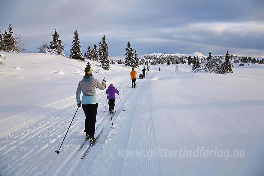 I skiløypa fra Aurdal Fjellpark mot bl.a. Bjørgovarden. Dvergaknatten ses i bakgrunnen.