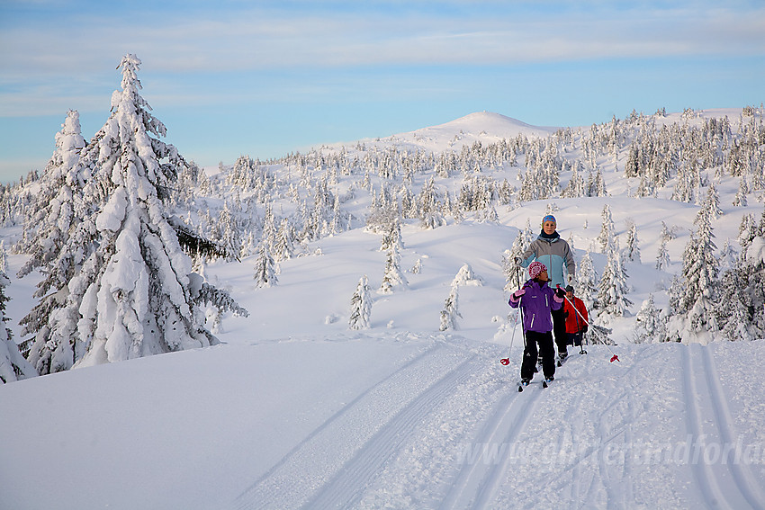 I skiløypa fra Aurdal fjellpark mot Bjørgovarden.