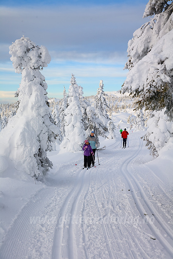 I skiløypa fra Aurdal fjellpark mot Bjørgovarden.