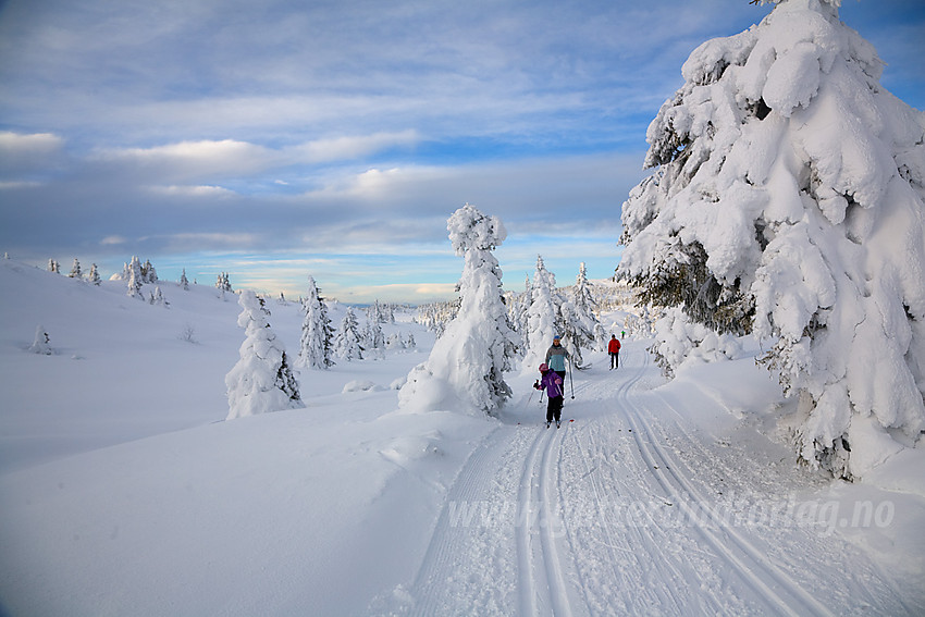 I skiløypa fra Aurdal fjellpark mot Bjørgovarden.