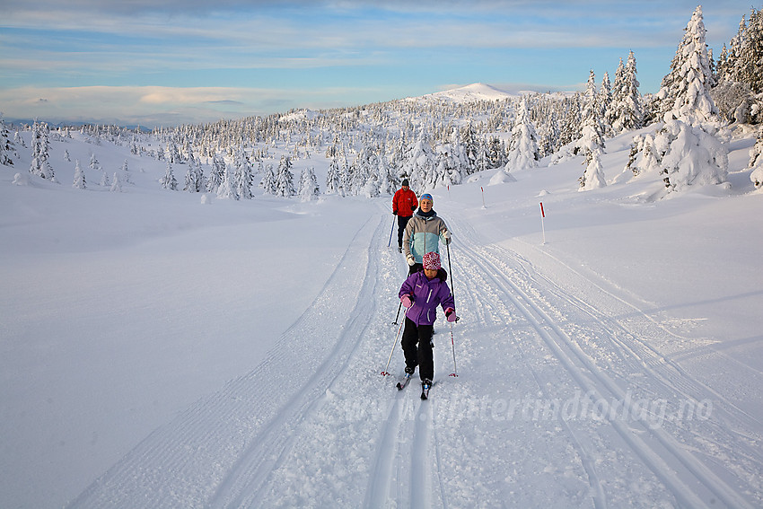 I skiløypa fra Aurdal fjellpark mot Bjørgovarden.