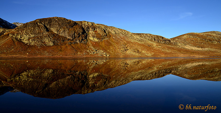 En flott morgen ved Rjupetjernet