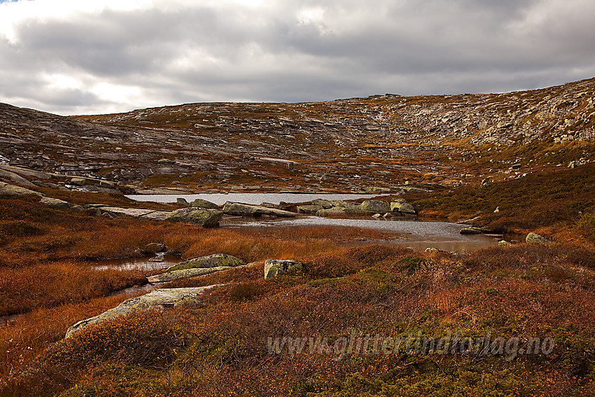 På tur mot Roan, ikke så langt fra toppen.