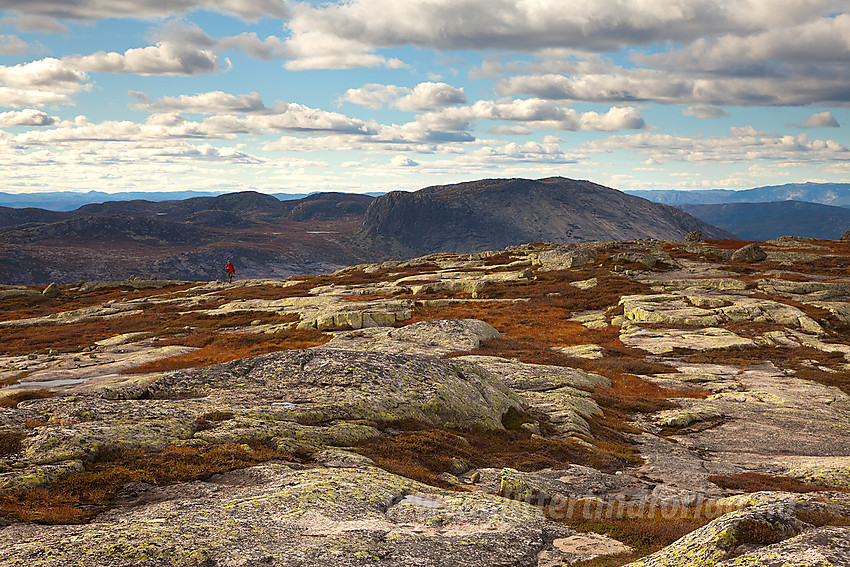 På platået på Sveinsheii med Roan i bakgrunnen.