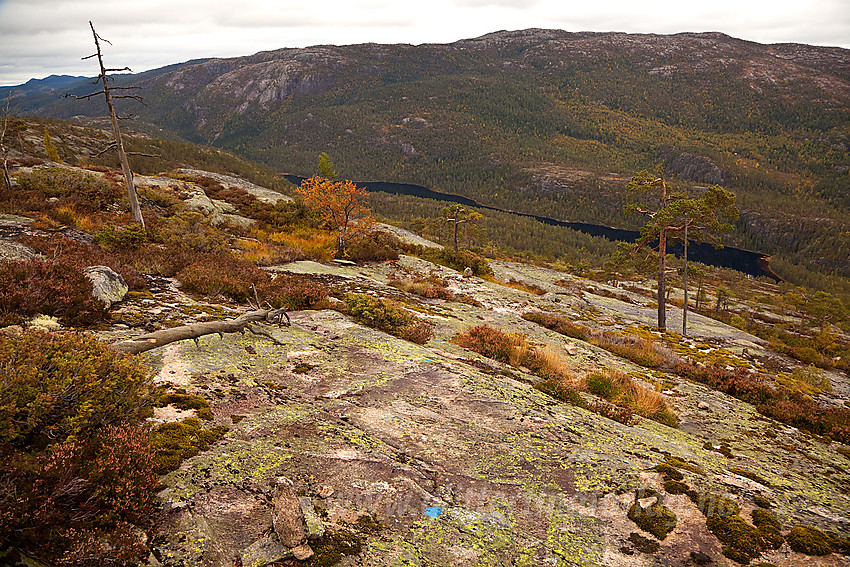 Fra Fagerliheii mot Blikafjell.