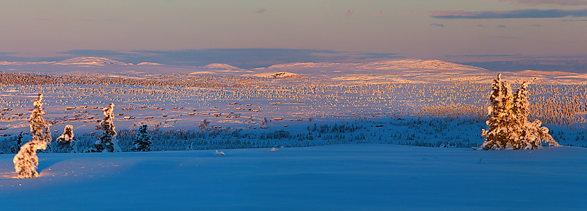 Utsikt fra Skardåsen.