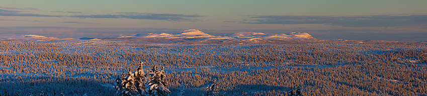 Utsikt fra Skardåsen mot Djuptjernkampen.