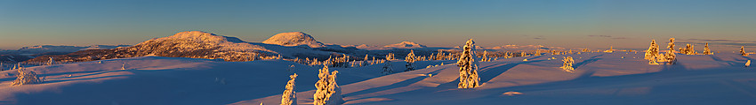 Fra Skardåsen mot Skarvemellen og Rundemellen.