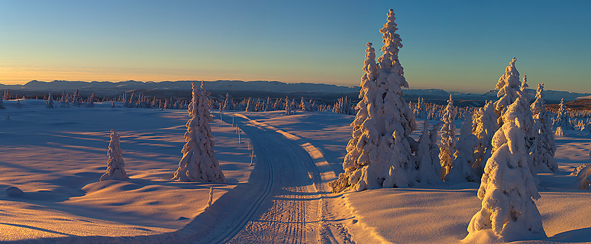 Herlige vinterstemninger oppunder Skardåsen i desemberkvelden.