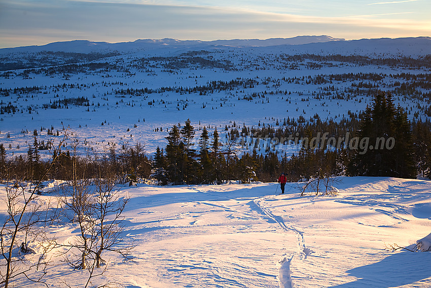 På vei opp fra Flatvollen på tur til Hallingnatten. Norefjellområdet i bakgrunnen.