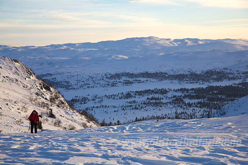 På vei opp bakkene fra Flatvollen på tur mot Hallingnatten. Norefjell i bakgrunnen.