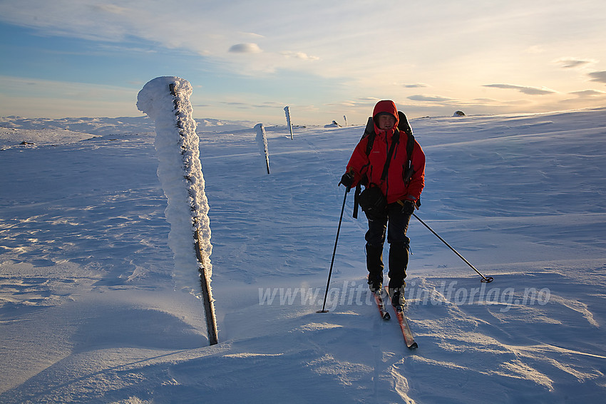 På fjellhøydedraget fra Flatvollen over mot Reinsjøen.