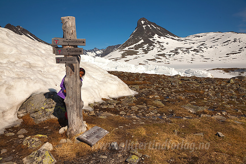 Skiltstolpe ved Leirvassbu.Kyrkja vokter i bakgrunnen.