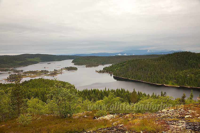 Oppunder Skåråfjell med utsikt til Eiangen.