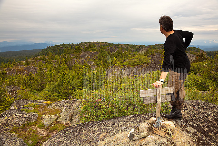 Utsikt fra Skåråfjell mot Vardefjell.