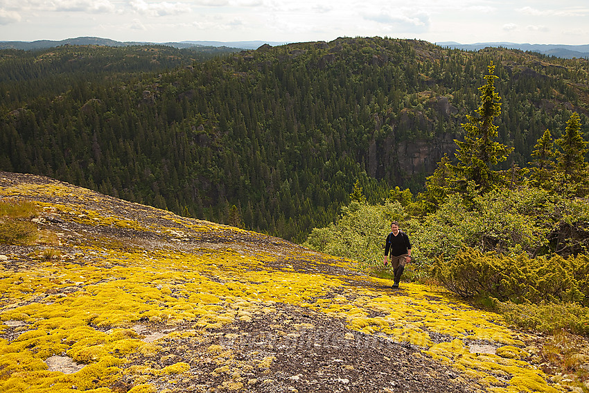 Siste svaet opp til Vardefjell i Sauherad. Skåråfjell i bakgrunnen.