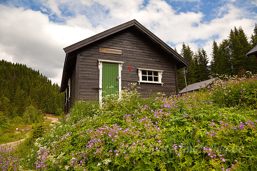 Sommerseter, DNT hytte i Telemark.