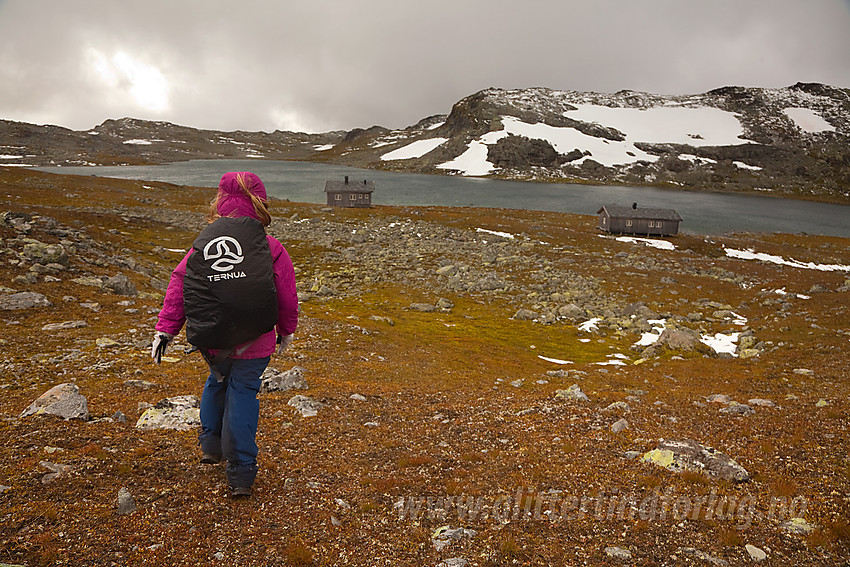 Siste biten bort til Tomashelleren som ligger flott til ved Langetjernet.