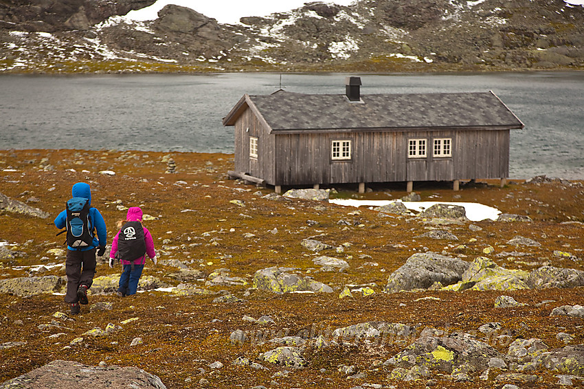 Siste biten bort til Tomashelleren som ligger flott til ved Langetjernet.