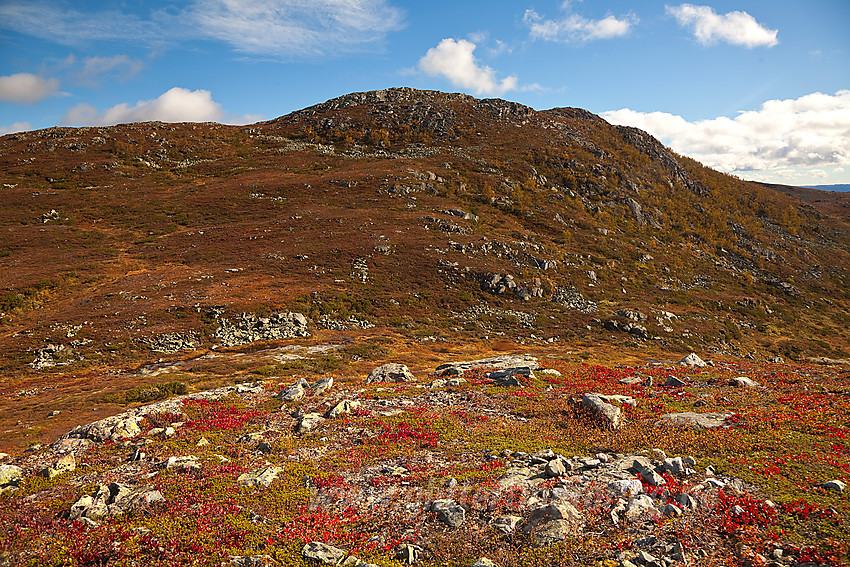 Raudhorn sett fra vest.