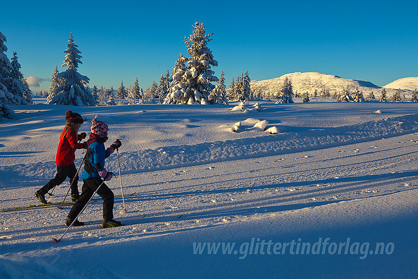 På tur til Skardåsen, Skarvemellen i bakgrunnen.