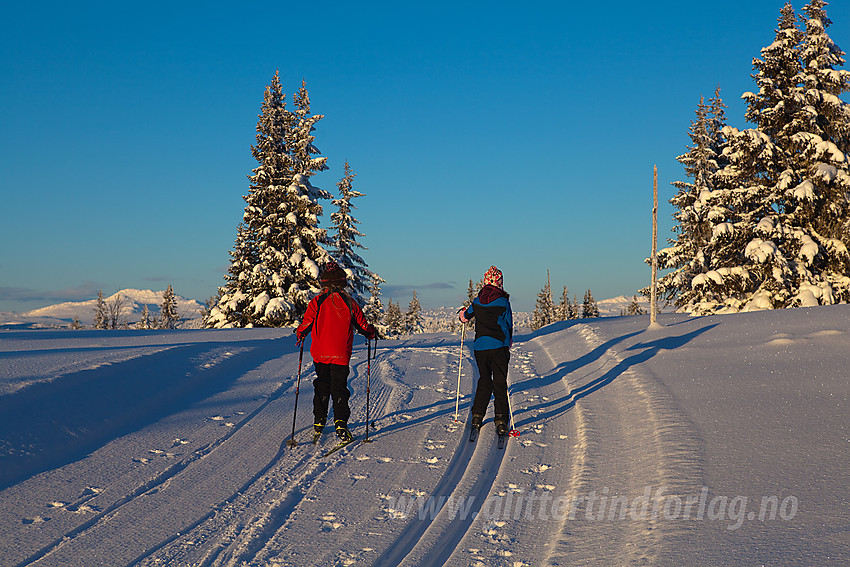 På tur til Skardåsen.