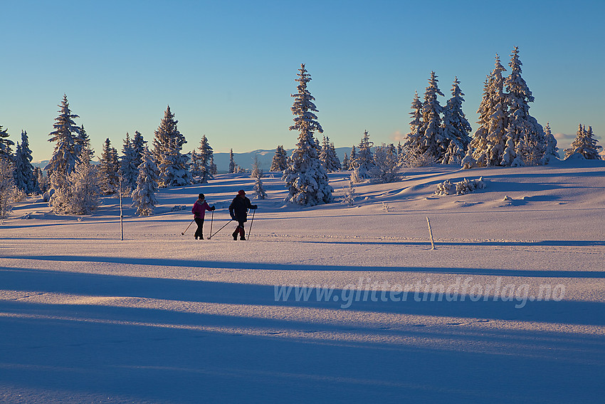 Skardåsenløypa like nedenfor Skardåsen.