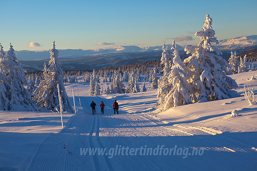 Siste bakken opp mot Skardåsen fra vest.