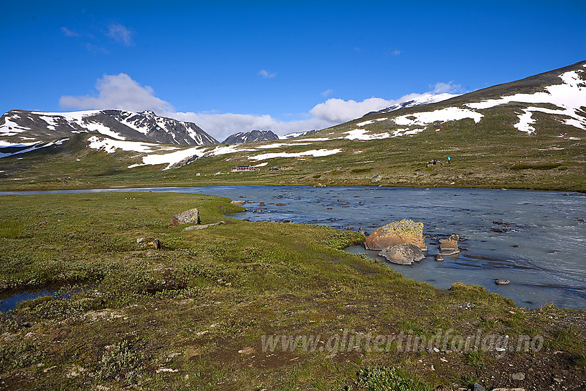 Idyllisk sommerdag i Veodalen. På bildet ses Ryggjehøe, Glitterheim, Steinbukampen, og Glittertinden.