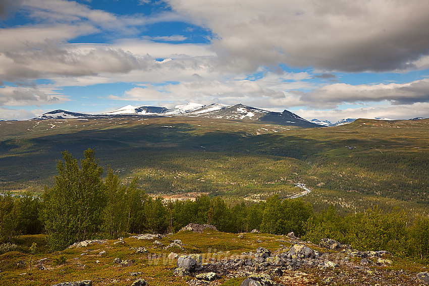 I liene mot Sjugurdsjøpiggen med utsikt til Nautgardstindane.