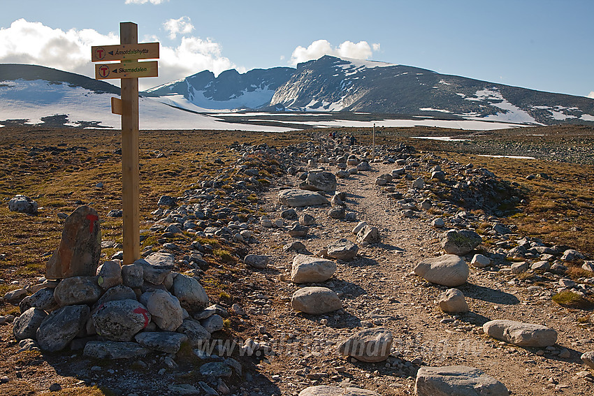 Fra Snøheim mot Snøhettamassivet.