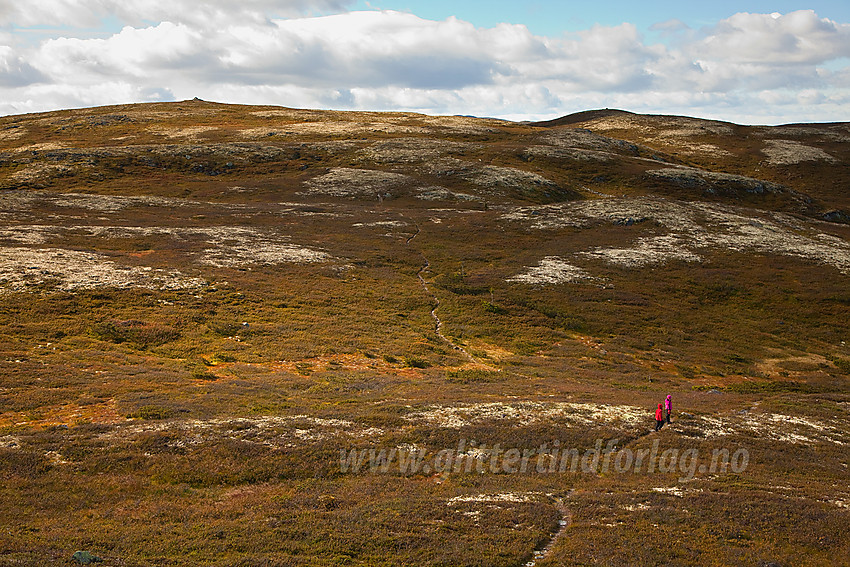 På tur til Haugsetfjellet.