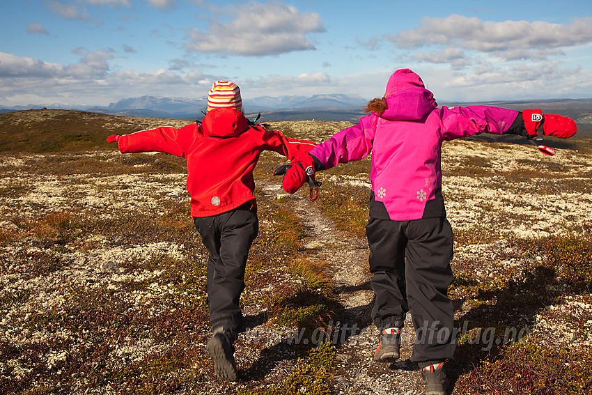 Turvenninner på toppen av Haugsetfjellet.